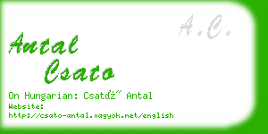 antal csato business card